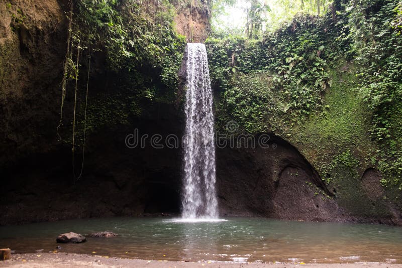 Cachoeira bonita de Sekumpul - Bali, Indonésia imagem de stock Cachoeira bonita de Sekumpul - Bali, Indonésia imagem de stock