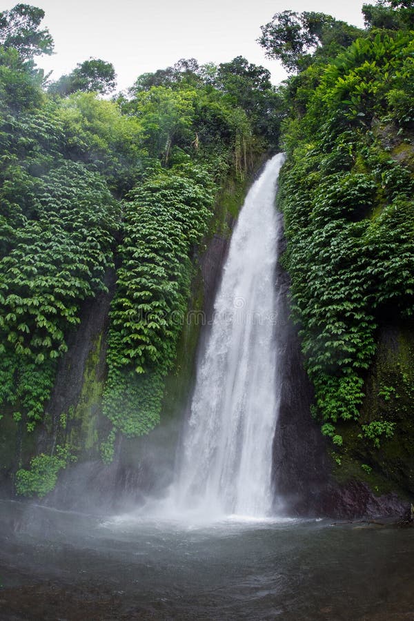 Cachoeira de Munduk em bali imagem de stock Cachoeira de Munduk em bali imagem de stock