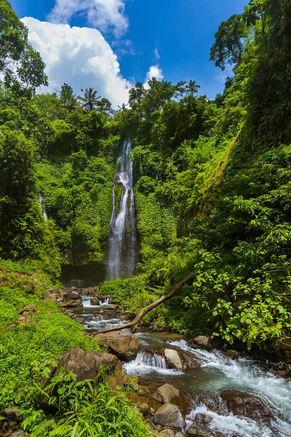 Cachoeira de Sekumpul - ilha Indonésia de Bali foto de stock royalty free Cachoeira de Sekumpul - ilha Indonésia de Bali foto de stock royalty free