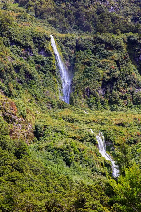 Cachoeira do fiord de Milford Sound Parque nacional de Fiordland, Nova Zelândia imagem de stock Cachoeira do fiord de Milford Sound Parque nacional de Fiordland, Nova Zelândia imagem de stock