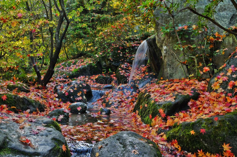 Cachoeira e folhas de outono imagem de stock Cachoeira e folhas de outono imagem de stock
