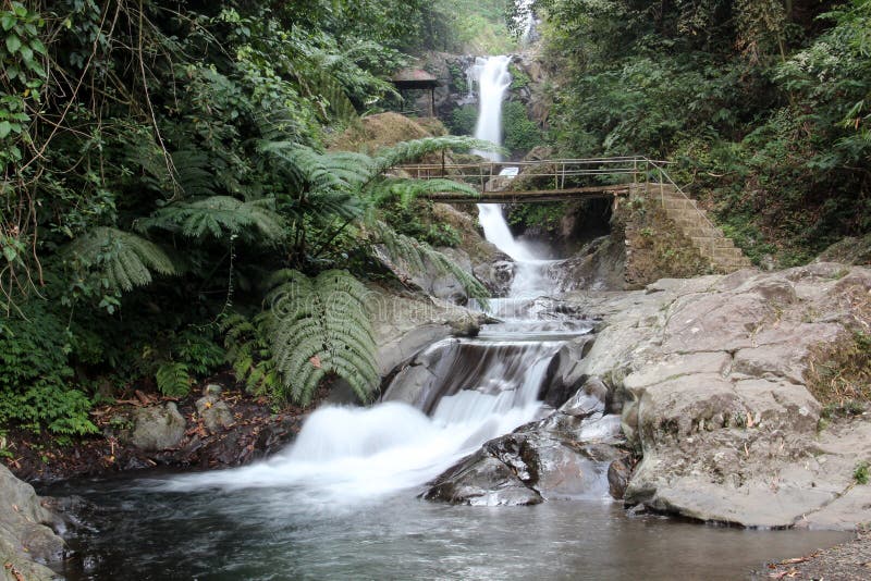 Cachoeira em uma floresta Bali