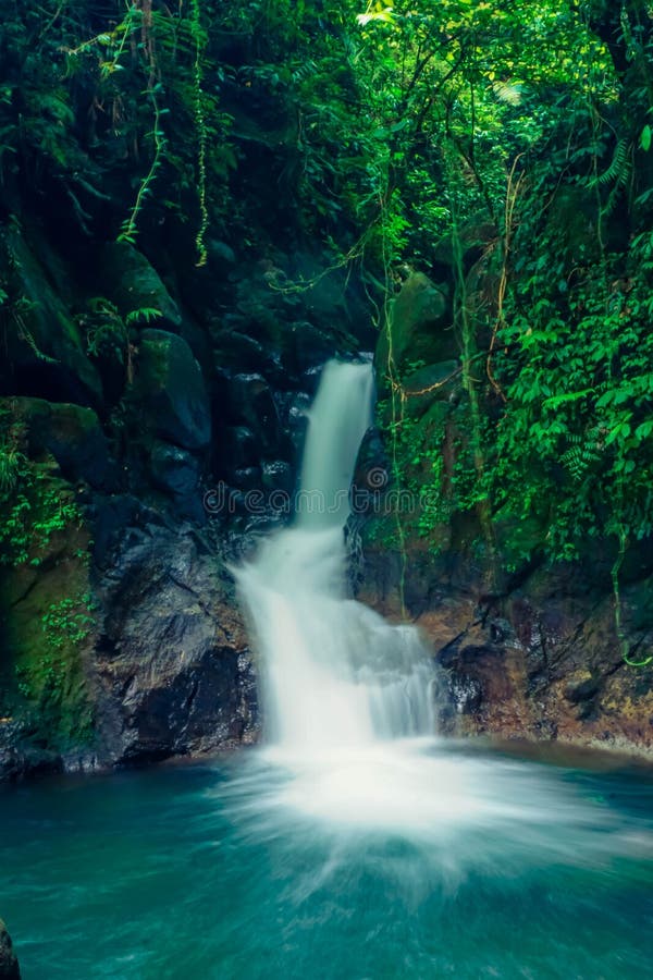 Cachoeira na selva da floresta pode ser usada como fundo de