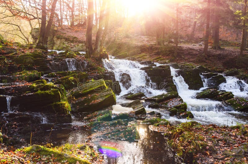 Download Cachoeira Na Floresta Enevoada Do Outono Foto de Stock - Imagem de mystical, posições: 80102182