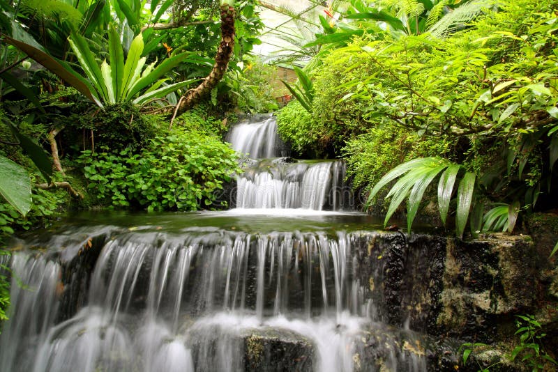 Cachoeira na floresta tropical