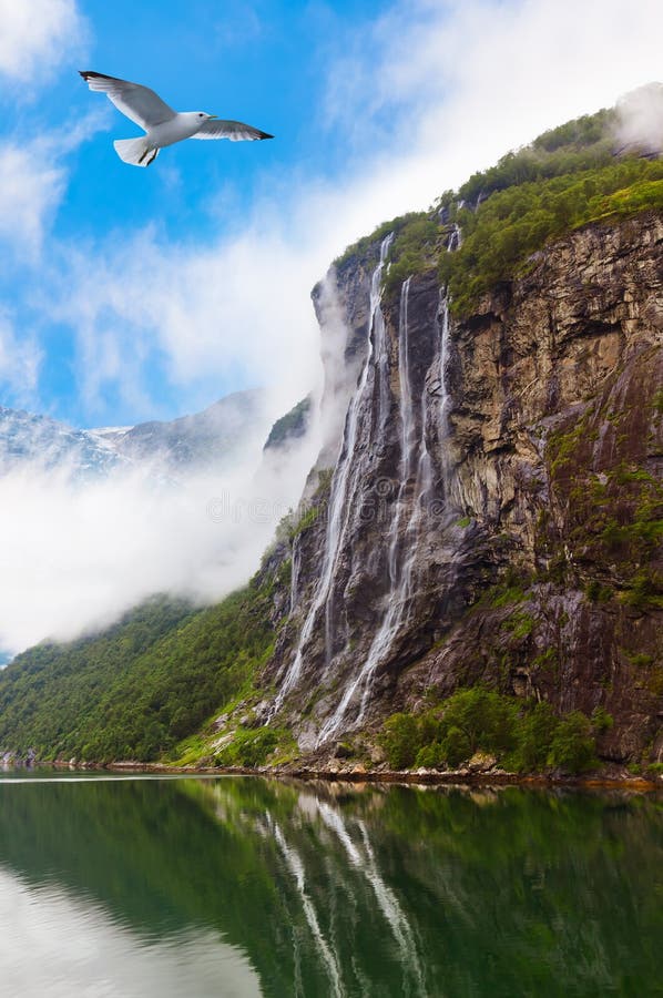 Cachoeira no fiorde Noruega de Geiranger imagem de stock Cachoeira no fiorde Noruega de Geiranger imagem de stock