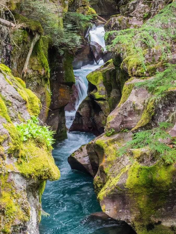 Clear river water tumbles over boulders in Glacier National Park, Montana. Clear river water tumbles over boulders in Glacier National Park, Montana.