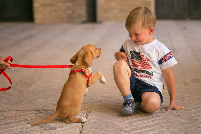 Cachorrinho considerável bonito do ruivo com rapaz pequeno imagem de stock royalty free Cachorrinho considerável bonito do ruivo com rapaz pequeno imagem de stock royalty free
