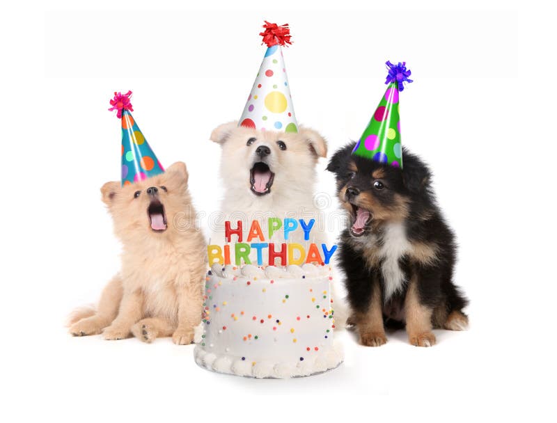 cancion feliz cumpleanos en espanol cancion feliz cumpleanos en espanol