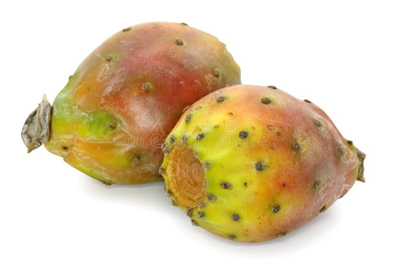 Cactaceous fig