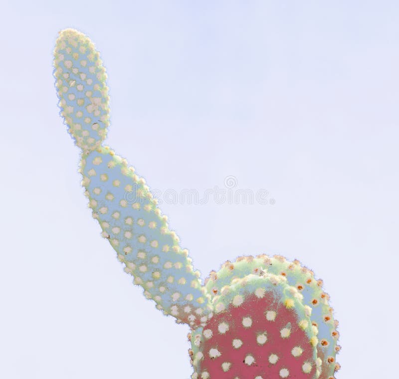 Cacti colorful fashionable mood. Trendy tropical Neon Cactus plant on gray color background. Fashion Minimal Art Concept.