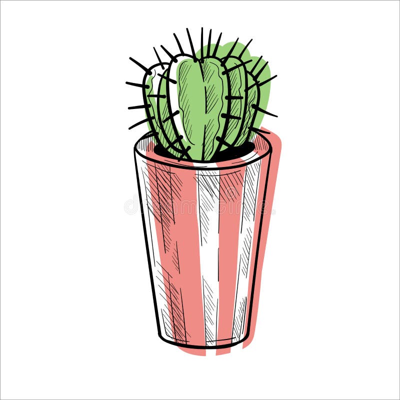 Conjunto De Cactos Em Bolbos De Flores. Desenho Desenhado à Mão Isolado Em  Branco Ilustração Stock - Ilustração de isolado, plantas: 253611264