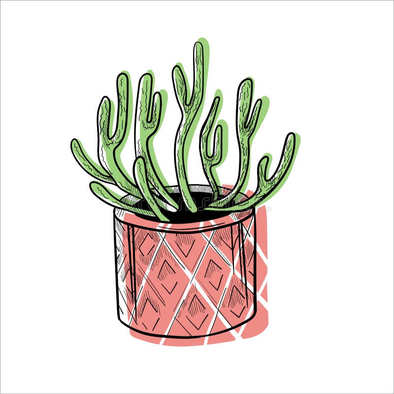 Conjunto De Cactos Em Bolbos De Flores. Desenho Desenhado à Mão Isolado Em  Branco Ilustração Stock - Ilustração de isolado, plantas: 253611264