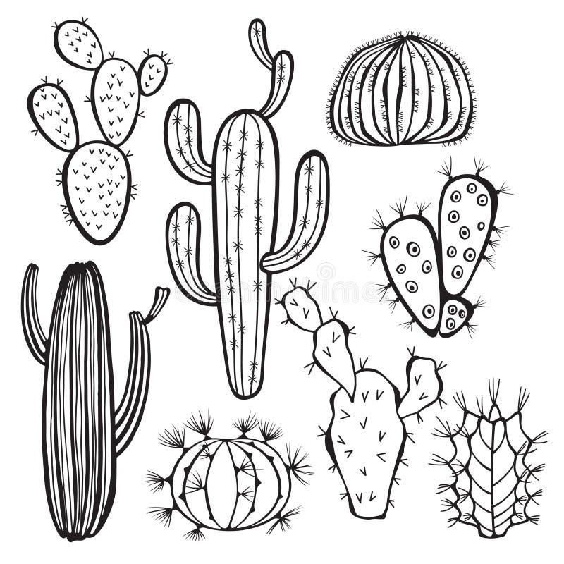 Cactus Coloring Page - Desenho De Cacto Preto E Branco - Free
