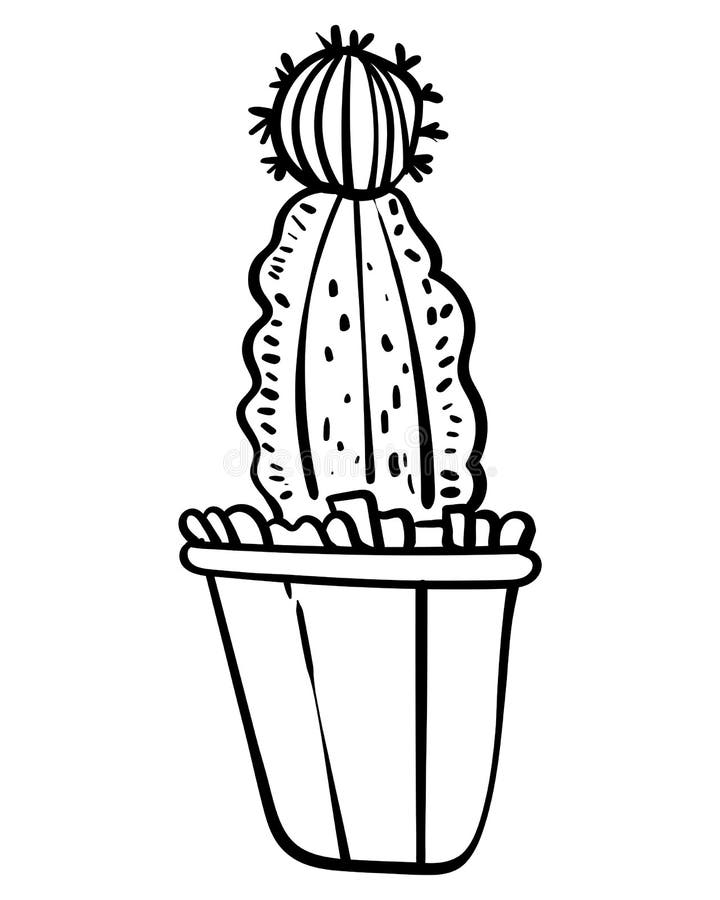 Cacto do deserto para colorir  Cactus clipart, Clipart black and