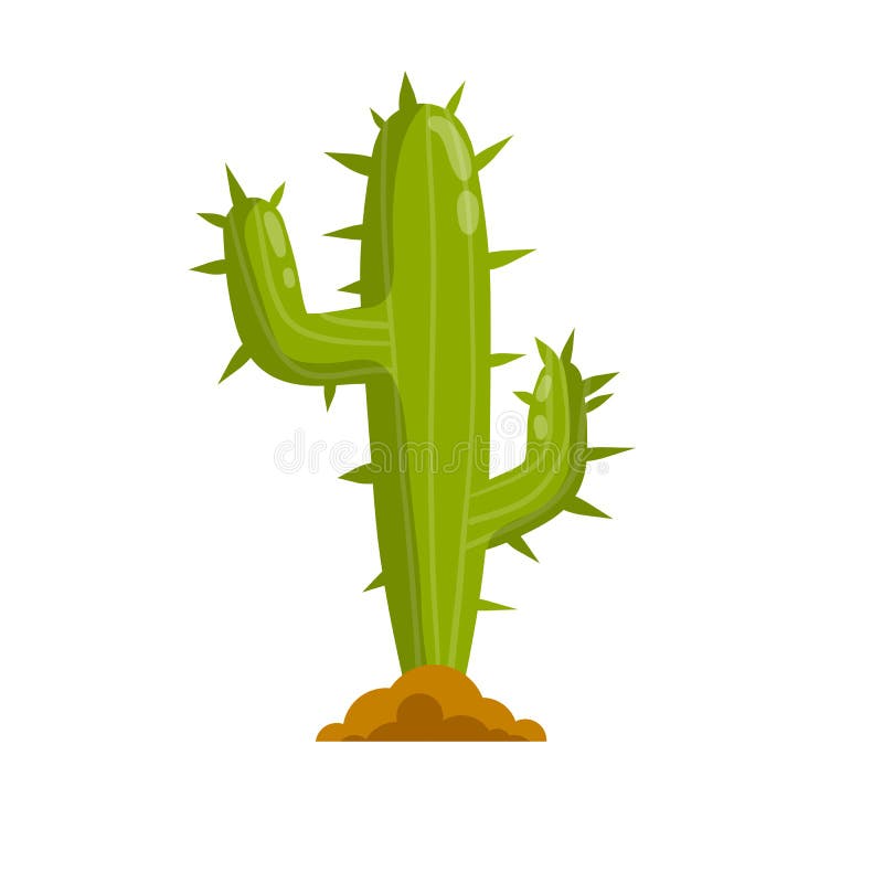 Cactus Deserto Planta Flor Flora Cactos De Desenhos Animados Suculentos.  Planta De Cactos Espinhoso Espinhoso Espinhoso. Deserto Mexicano Tropical  Cacto Verão Jardim Planta. Houseplant Vetor Exótico Cacto Verde Flor  Deserto. Royalty Free