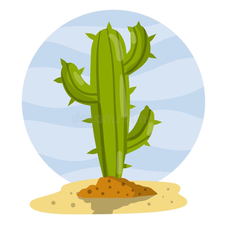 Vetores de Cactos Com Espinhos Planta Do Deserto Ilustração De