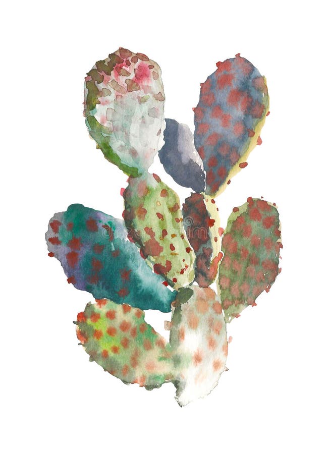 Cacto tirado mão da aquarela, planta carnuda isolada no fundo branco Ilustração botânica da aquarela do vintage para ilustração stock Cacto tirado mão da aquarela, planta carnuda isolada no fundo branco Ilustração botânica da aquarela do vintage para ilustração stock