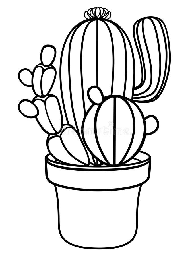 Cactos Em Um Potenciômetro De Flor Planta Da Casa - Cacto Imagem Linear Dos  Cactos Para Colorir Ilustração do Vetor - Ilustração de flor,  potenciômetros: 136493211