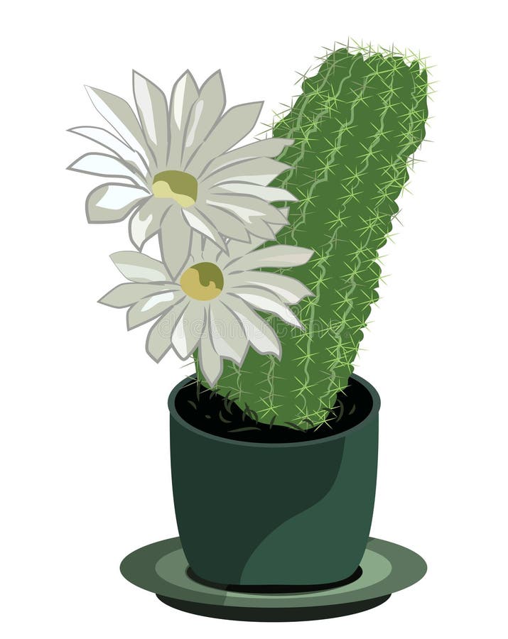 Cartoon Cactus Character with Flower and Cute Face. Kawaii Potted Plant  Vector Illustration Ilustração do Vetor - Ilustração de casa, divertimento:  147718182