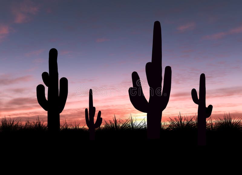 Cactus royalty-vrije stock afbeelding Cactus royalty-vrije stock afbeelding