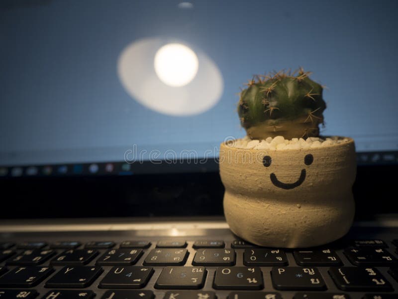 Cactus is Another Plant. that Can Absorb Blue Light on the Computer