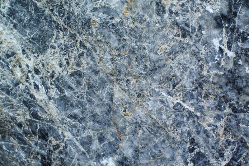 Cactus close up thorn stock images