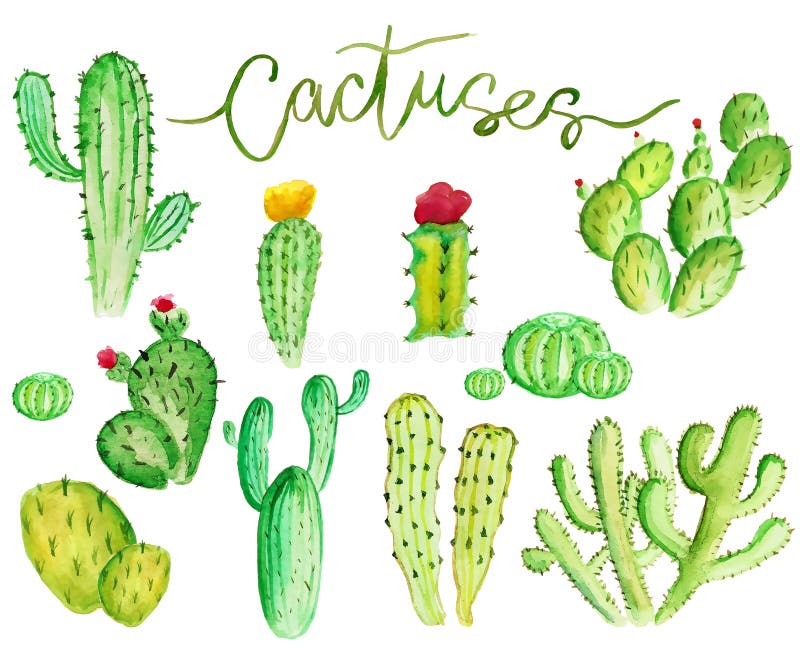 Cactus d'aquarelle illustration libre de droits Cactus d'aquarelle illustration libre de droits