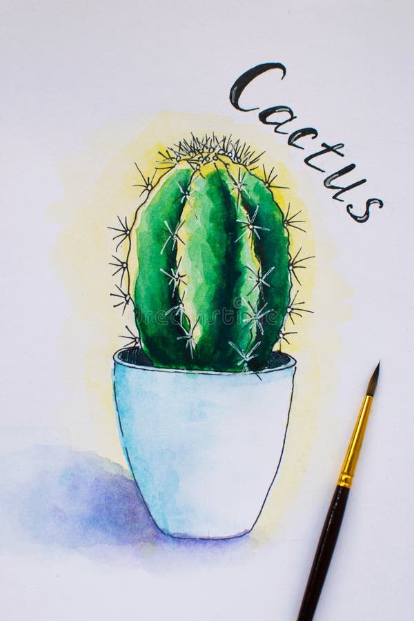 Cactus De Color Agua Pintados a Mano En La Olla. Dibujo Acuarela, Ilustración Foto de archivo - Imagen de fondo, drenaje: 157197852 Cactus De Color Agua Pintados a Mano En La Olla. Dibujo Acuarela, Ilustración Foto de archivo - Imagen de fondo, drenaje: 157197852