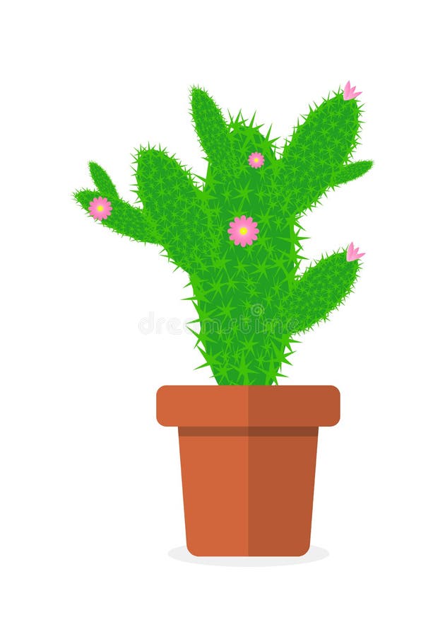 Cactus de dessin de vecteur dans un pot de fleur illustration de vecteur Cactus de dessin de vecteur dans un pot de fleur illustration de vecteur