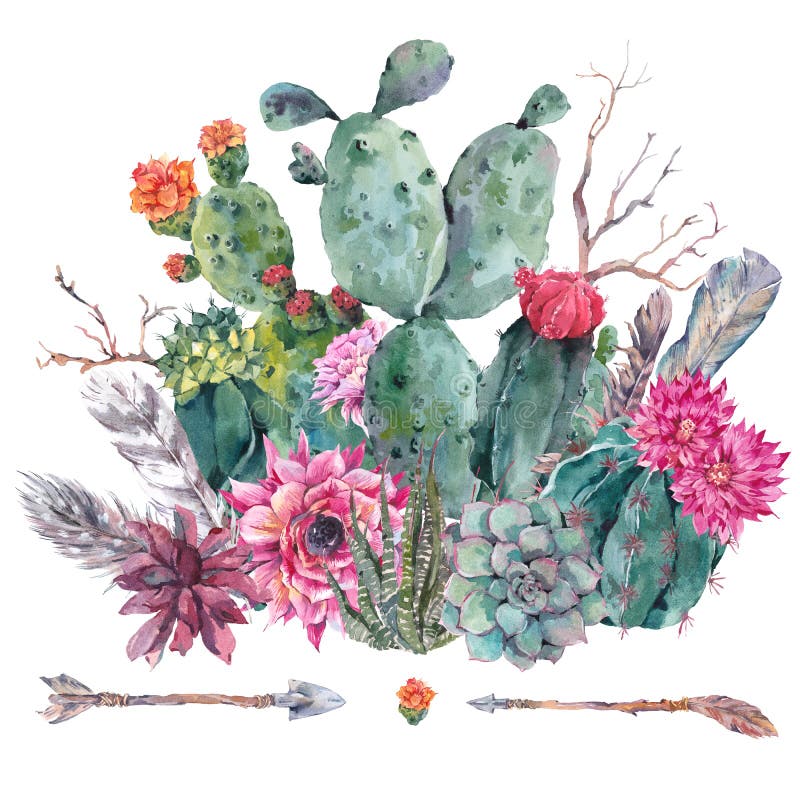 Cactus de la acuarela, succulent, flores