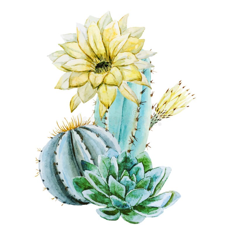Cactus dell'acquerello royalty illustrazione gratis Cactus dell'acquerello royalty illustrazione gratis