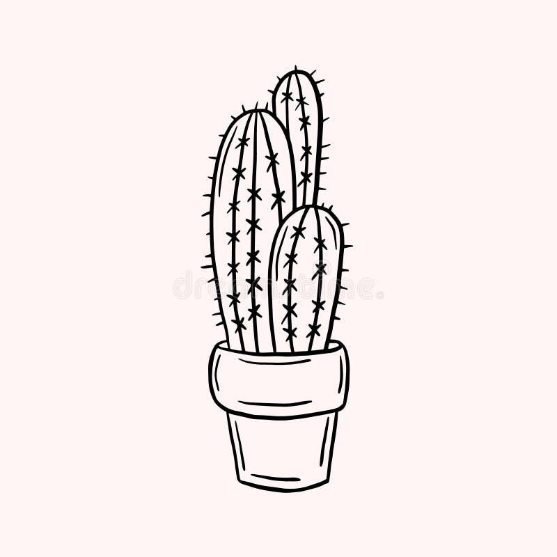 Cactus Desenho Do Estilo De Rabisco De Vetor Simples Ilustração Linear  Desenho Em Branco Ilustração Stock - Ilustração de objeto, cactos: 170803097