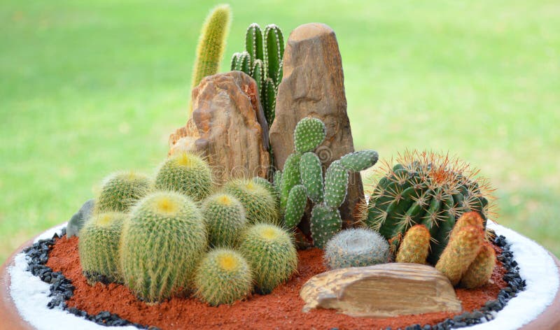 Cactus En Métal Artisanal Pour Décoration Jardin , Terrasse … - Jardin & Plantes