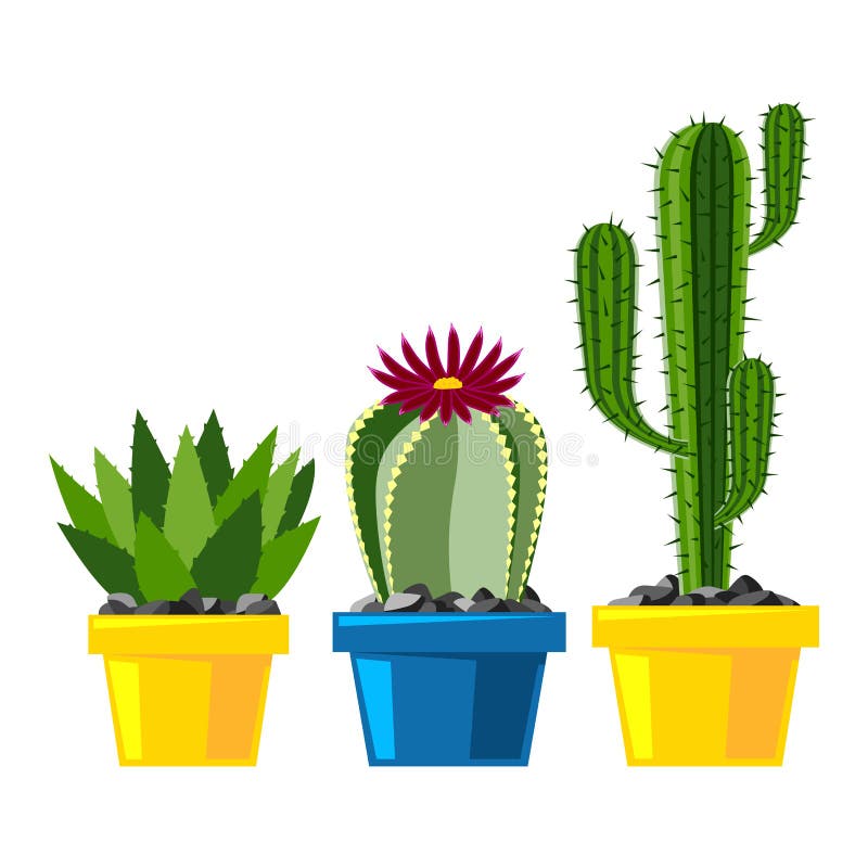 Cactus flat style nature desert flower green cartoon drawing