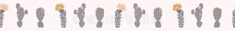 Cactus flowering bloom seamless border pattern. Indoor succulent houseplant flower vector illustration. Repeatable flat banner trim design. Hand drawn pretty desert cacti flower garden plant decor .