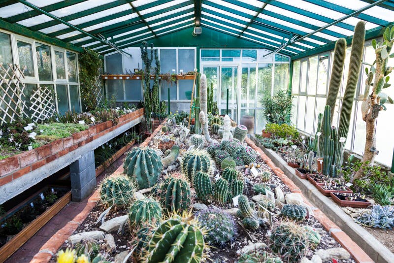 Cactus greenhouse stock photos Cactus greenhouse stock photos