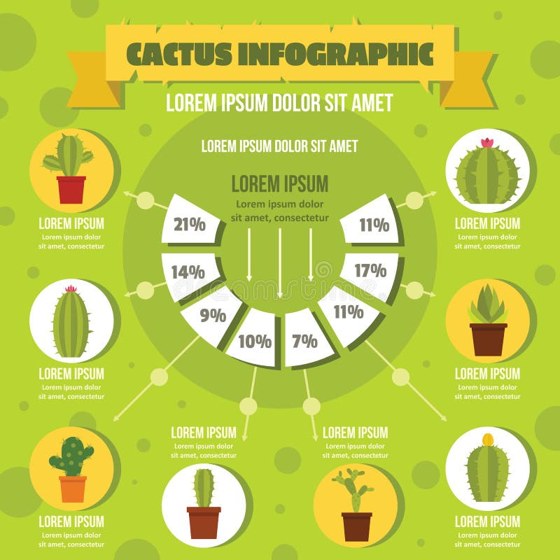 Cactus infographic concept, flat style vector illustration