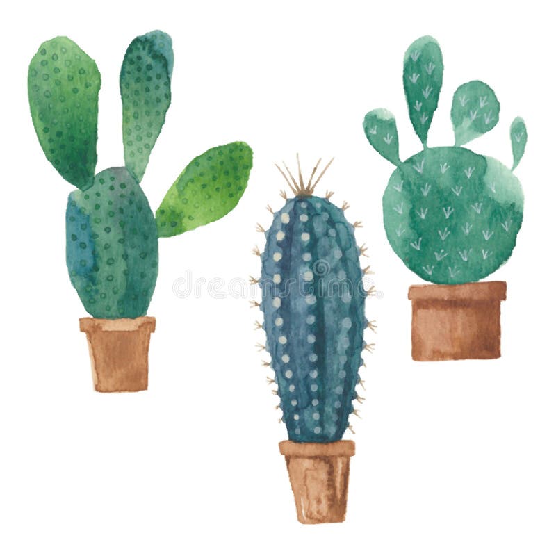 Kaktusov.