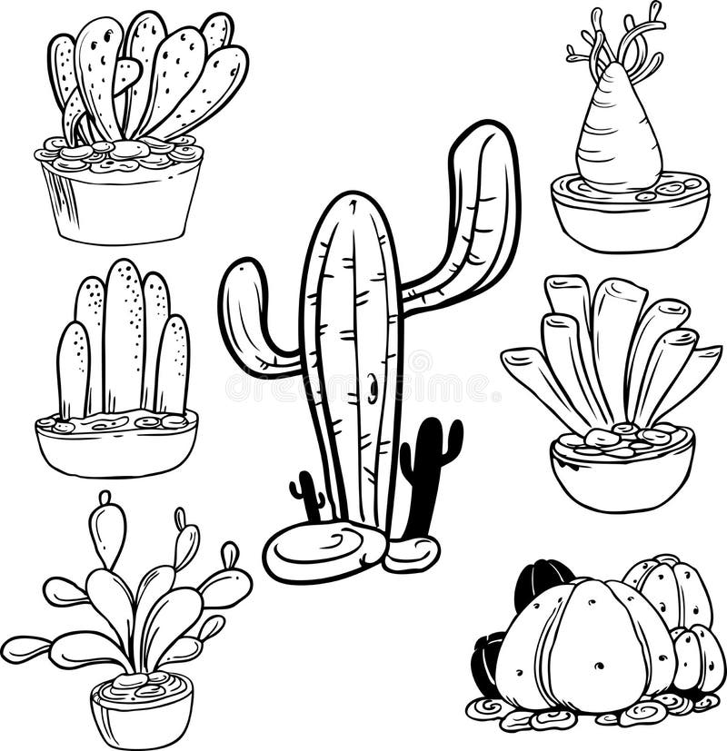 Cactus outline vector illustration.