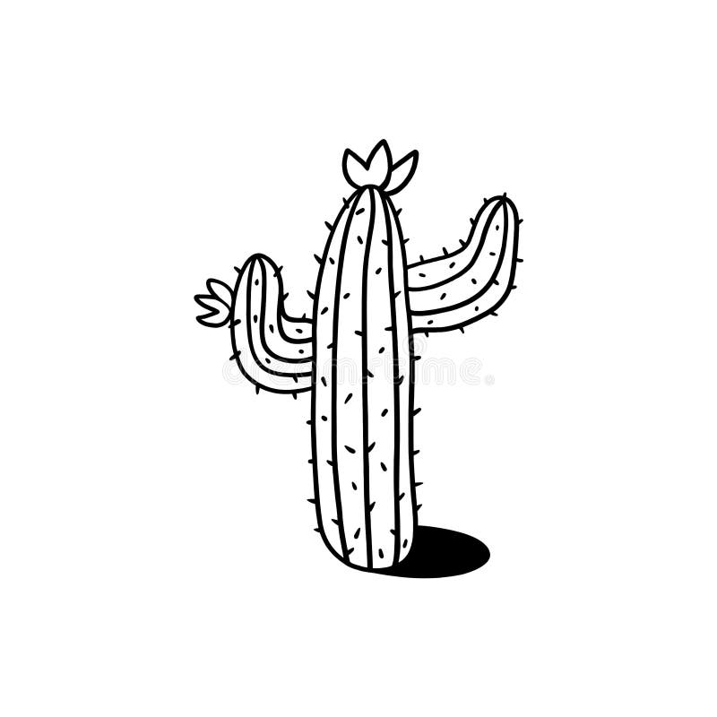 Cactus outline illustration on white background.