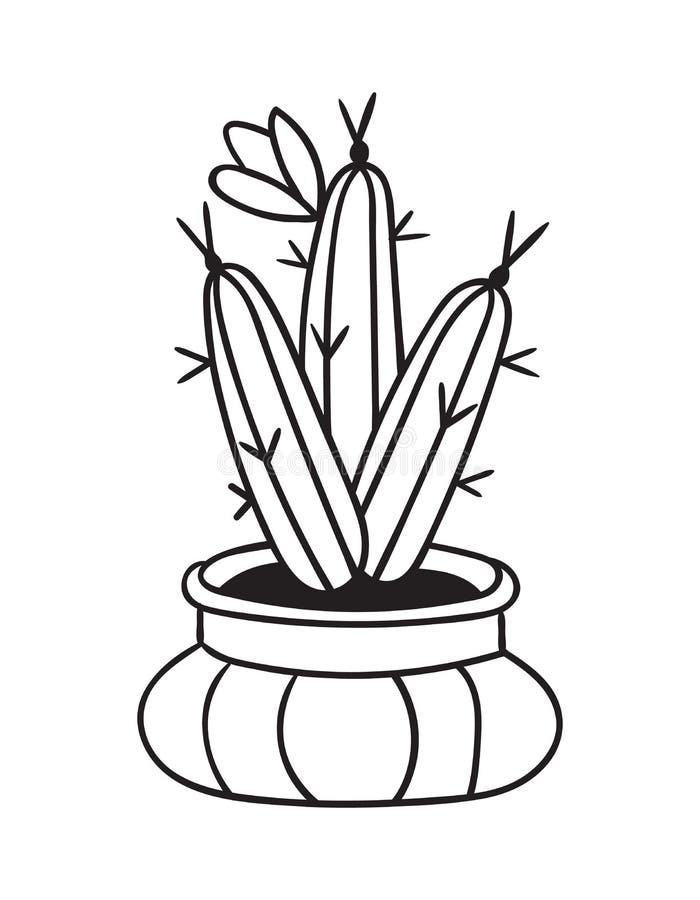 Dibujos para colorear juego de pintar cactus 