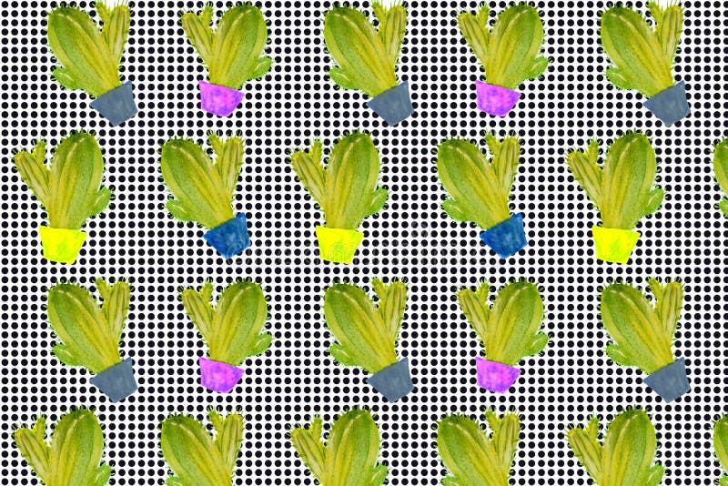 Cactus, planta verde, ejemplo de la acuarela, dibujo de la mano, modelo botánico de la pintura libre illustration Cactus, planta verde, ejemplo de la acuarela, dibujo de la mano, modelo botánico de la pintura libre illustration
