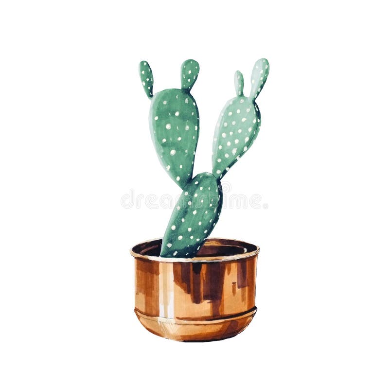 Cactus in a pot. Tropical garden illustration