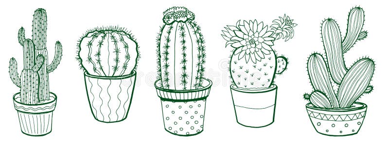 Cactus Sketch Set_2 stock vector. Illustration of object - 167485435