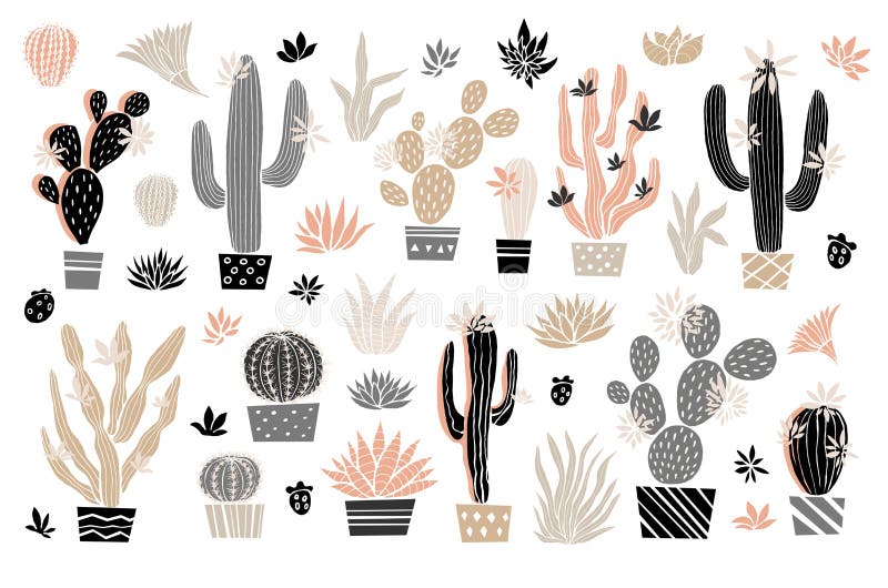 Cactus succulento fiori di rosa selvatica di conifere tenue di colore color pastello di colore rosa. piante domestiche bellissimi illustrazione vettoriale