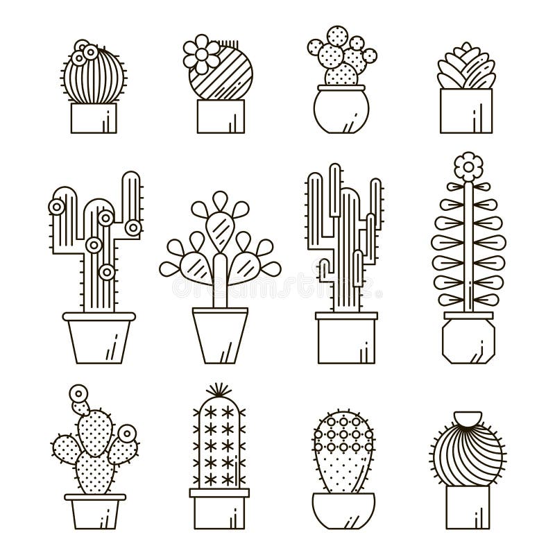 Cactus and succulents vector line icon set. Exotic floral garden silhouettes. Nature cacti outline design illustration