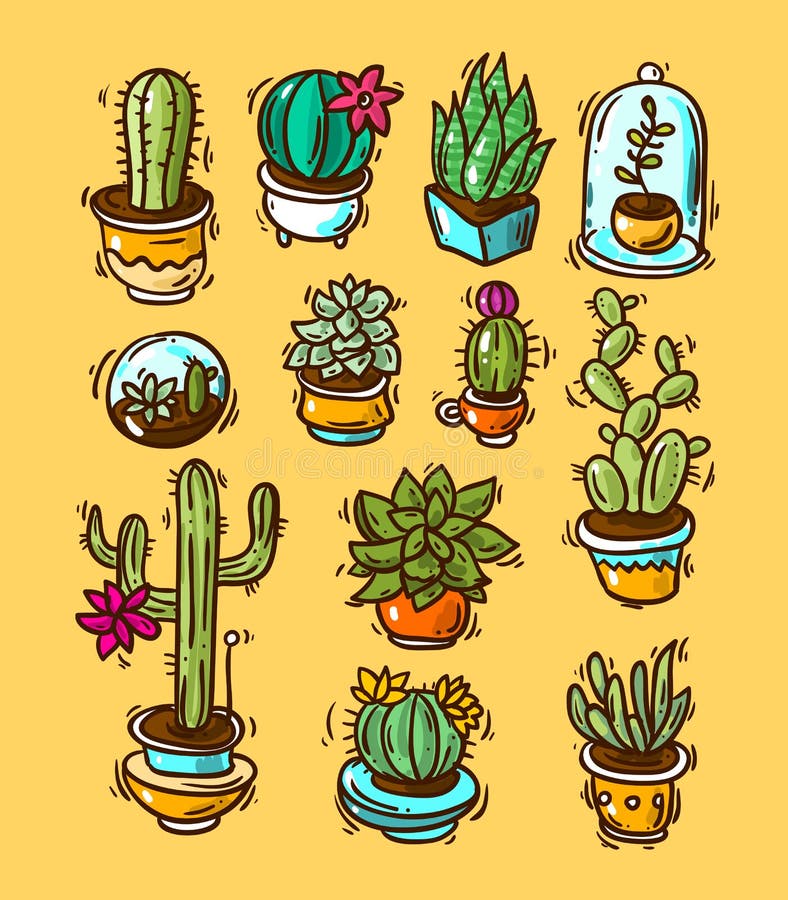 Cactussen en succulents vector illustratie Cactussen en succulents vector illustratie