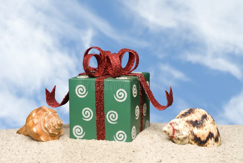 A present and seashells on the beach for a tropical Christmas inference. A present and seashells on the beach for a tropical Christmas inference.