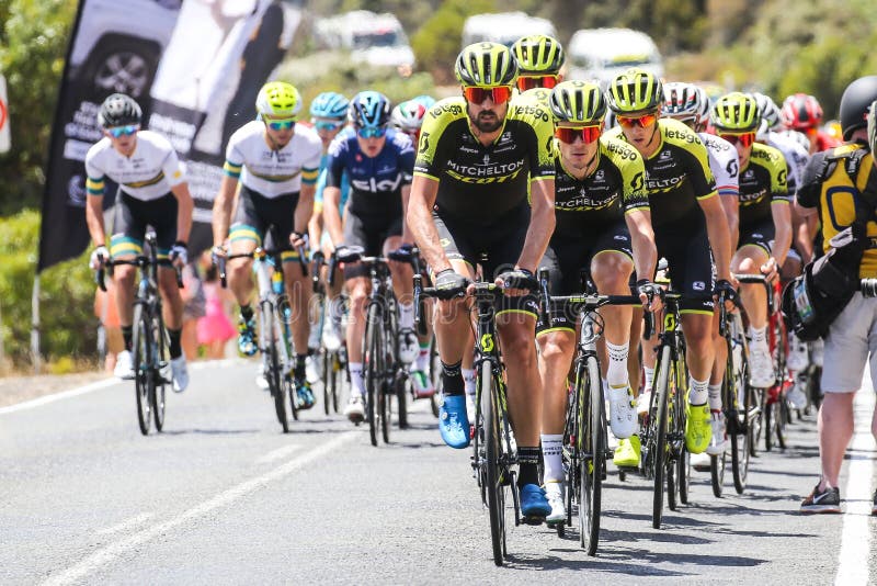 Cadel Evans Great Ocean Road Race - elitmän fotografering för bildbyråer Cadel Evans Great Ocean Road Race - elitmän fotografering för bildbyråer